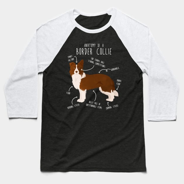 Border Collie Dog Anatomy Baseball T-Shirt by Psitta